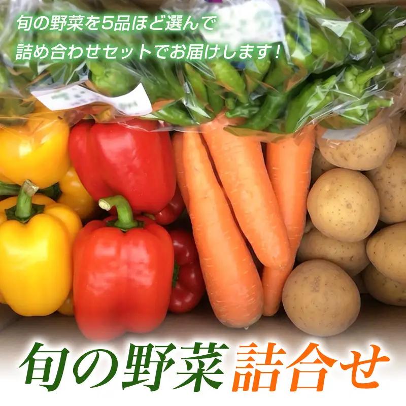 旬の野菜詰合せ【障がい者支援】 FZ19-523