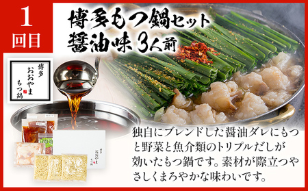 本場博多の味水炊き・もつ鍋食べ比べ定期便【隔月定期便（計3回発送）】 水炊き モツ鍋 もつ鍋セット モツ鍋セット 醤油 しょうゆ 味噌 みそ ちゃんぽん 博多 3人前 4人前 福岡県 福岡 九州 グル