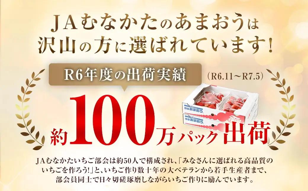 博多 あまおう 6パック（春）【2027年2月上旬～2027年4月下旬発送予定】