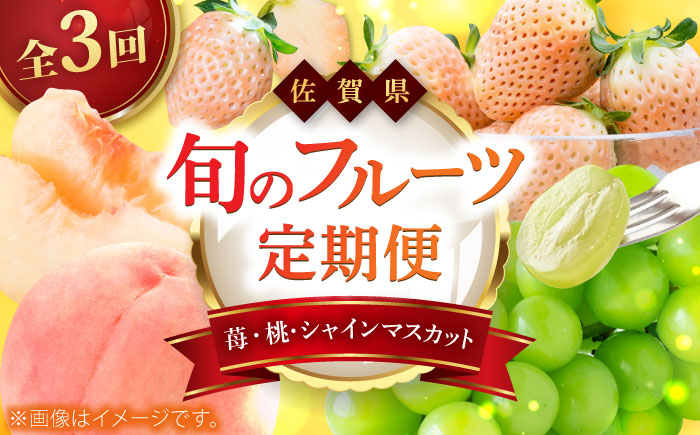 【全3回定期便】佐賀県の生産者を応援！いちごと桃とシャインマスカットを楽しむ定期便 / フルーツ / 佐賀県ふるさと納税 [41AAZZ020]