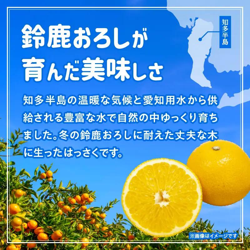 【先行予約】【訳あり】常滑ハッピーはっさく 4～5kg（10個～14個）｜ はっさく フルーツ常滑市