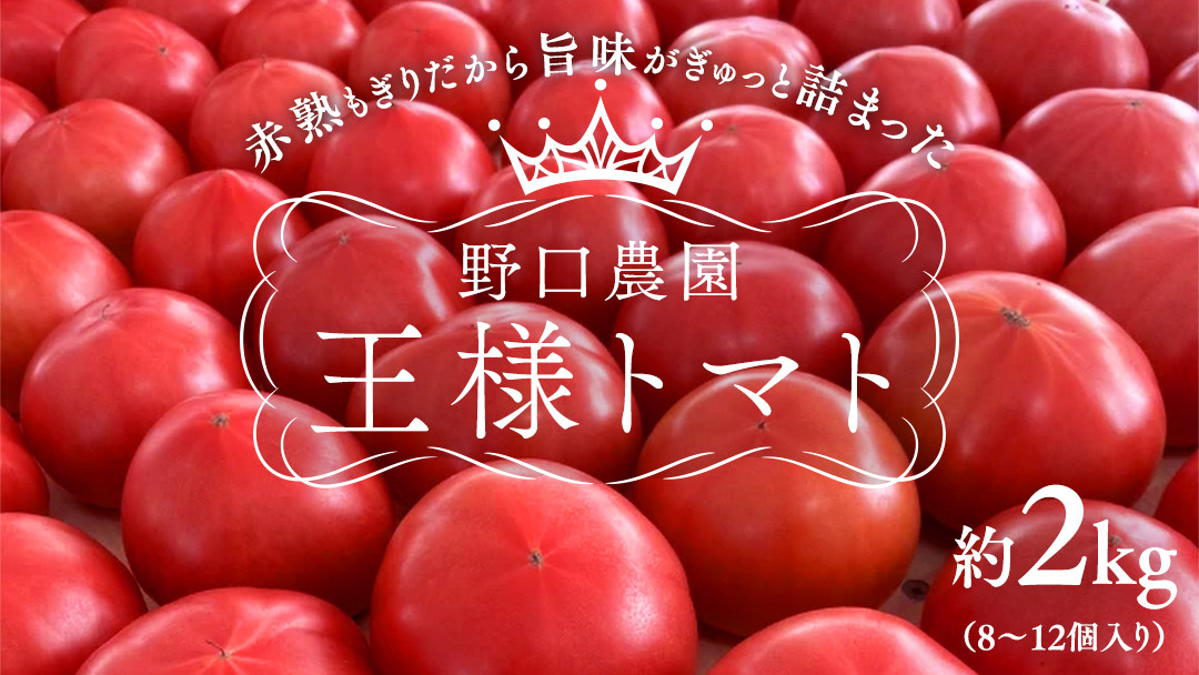 
                  野口農園！ 王様トマト 約2kg ( 8～12個入り )！ ごほうび・麗容・サンロード トマト ごほうび 麗容 サンロード 新鮮 美味しい 野菜
                