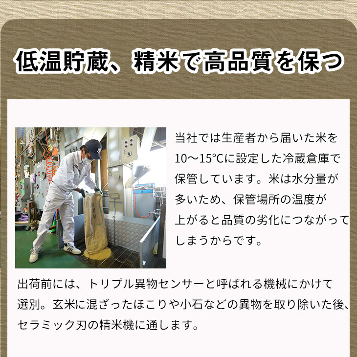 【9月より新米】【毎月1回お届け】【定期便】米 京都丹波米 こしひかり10kg×12回 計120kg 米 12ヶ月 白米 12回定期便 ※精米したてをお届け コシヒカリ ※北海道・沖縄・離島への配送不