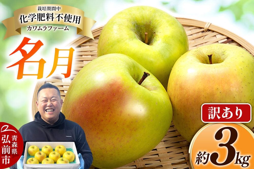 
                  【26年10月下旬～発送】りんご 名月【訳あり】約3kg【先行受付】カワムラファーム 青森県 弘前市 果物 フルーツ 林檎 リンゴ くだもの 不揃い 規格外 [先行予約 産地直送 アップル おいしい 果実 美味 甘い 黄色] [u9]
                