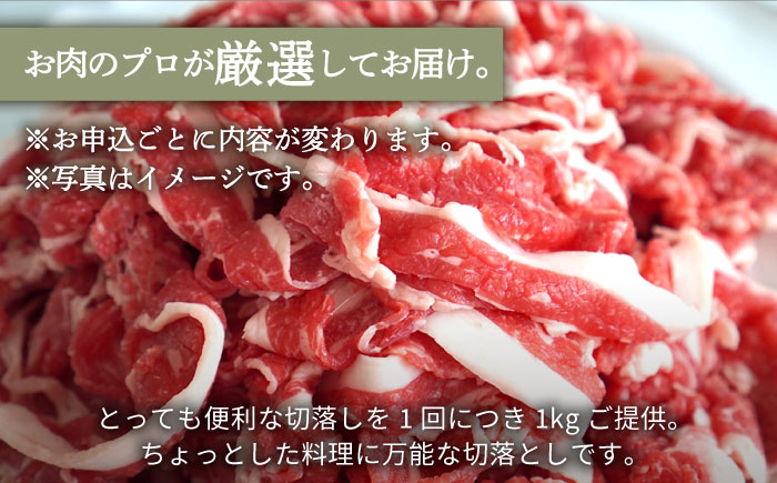 【牧場直送】【12回定期便】佐賀県産しろいし牛 万能切落し  1kg（500g×2パック） 【有限会社佐賀セントラル牧場】 [IAH135]