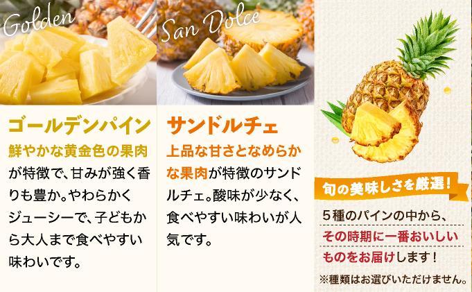 【訳あり】 石垣島産 パイナップル 詰め合わせ 約8kg (6～20個)《2026年4月下旬から発送》 | ふるさと納税 パイナップル 産地直送 フルーツ 果物 パイン 石垣 沖縄 沖縄県石垣市 石垣