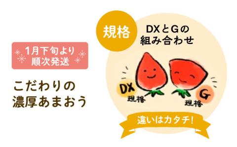 【2025年1月下旬～3月下旬発送】ココロファーム の 濃厚あまおう 285g × 4P 約1,140g [先行予約] 《豊前市》[VAE022] ※北海道・沖縄・離島 配送不可