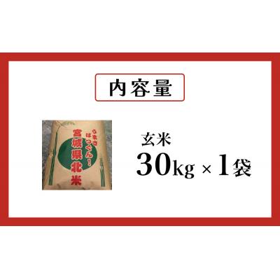 ふるさと納税 石巻市 米 つや姫 令和7年産 玄米 30kg 宮城県産 石巻市 こめ コメ お米 ツヤ姫 ご飯 |  | 02