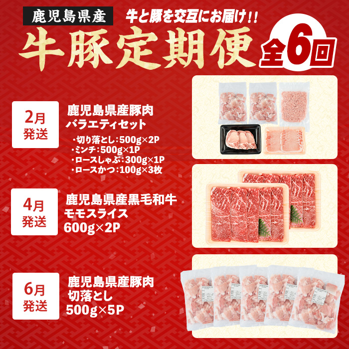 ＜定期便全6回＞黒毛和牛＆豚肉定期便 総重量9.2kg超 赤身 モモ 豚 ミンチ ロースかつ 豚肉 牛肉 切り落とし サーロイン 豚ロース しゃぶしゃぶ すき焼き 【スターゼン】_starzen-15