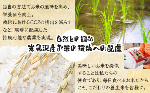 『100%自家生産精米』善生さんの自慢の米 ななつぼし10kg※一括発送 [a104-115]