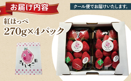 紅ほっぺ 1080g 苺 いちご 1月 ～ 順次発送 いちご いちご いちご いちご いちご いちご