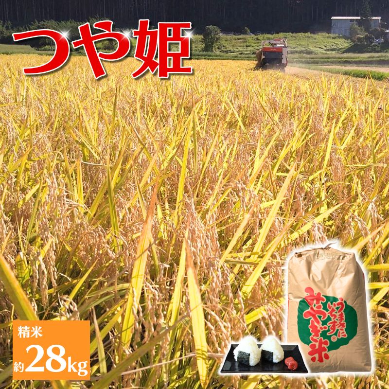 【ふるさと納税】☆総合ランキングイン☆ 【環境保全米】アグリとみたの 令和7年産 つや姫 精米 約28kg 米 お米 こめ 白米 ご飯 ライス つやひめ 産地直送 数量限定 ブランド米 送料無料