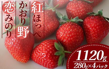 【2026年出荷分】特別賞受賞！ご自宅用いちごBabyBerryFarm　280g 4パック　【いちご イチゴ  苺 紅ほっぺ フルーツ 静岡県産 ふるさと納税  国産 産地直送】