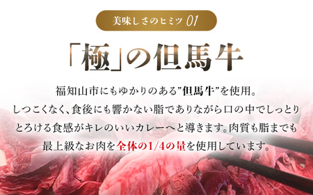 無添加【但馬牛濃厚とろすじカレー】(175g×8袋) カレー 但馬牛カレー 濃厚カレー とろすじカレー 京都府 福知山市 FCDA004