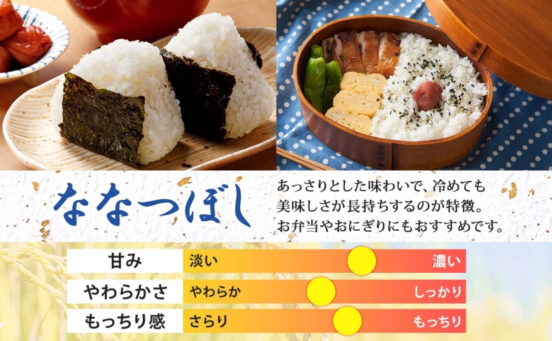 北海道 定期便 4ヵ月連続4回 令和6年産 ななつぼし 5kg×4袋 特A 精米 米 白米 ご飯 お米 ごはん 国産 ブランド米 おにぎり ふっくら 常温 お取り寄せ 産地直送 送料無料