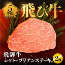 【ふるさと納税】《飛び牛》 飛騨牛 5等級 シャトーブリアンステーキ150g 2枚 計約 300g 飛騨市推奨特産品 古里精肉店謹製 ヒレ フィレ A5 a5 高級 希少部位 牛肉 肉 和牛 国産 贈答 ギフト [Q2464]