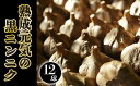 【ふるさと納税】熟成元気の黒ニンニク12球入り　GN-3