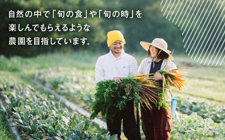 農家が作ったビーツドレッシング 3本セット ギフトボックス入り【うさぎ農園】[AYDJ015]