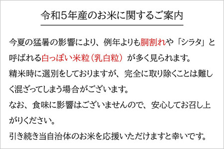 秋田県産 あきたこまち 4kg【玄米】(2kg小分け袋)【1回のみお届け】令和5年産　お届け時期選べる お米 おおもり 発送時期が選べる