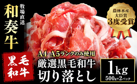 厳選 くまもと黒毛和牛 切り落とし 1kg (1パック 500g) 《45日以内に出荷予定(土日祝除く)》和牛焼肉LIEBE くまもと 黒毛和牛