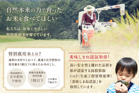【令和5年度産】アイガモロボット米 秘境奥島根弥栄つや姫 ５kg 米 お米 つやひめ お取り寄せ 特産 精米 白米 ごはん ご飯 コメ 新生活 応援 準備【1851】
