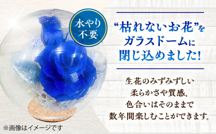 プリザーブドフラワー　ガラスドーム (青) / 花 プレゼント 贈答用 ガラス 母の日 父の日 入学式 卒業式 菊陽町 熊本県【株式会社 美向】 [BHDC002]
