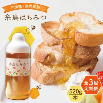 ふるさと納税 糸島市 【全3回定期便】糸島 はちみつ 520g/ヴァンベールフーズ[AFJ005]