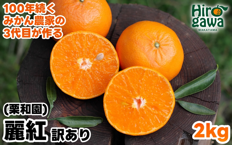 麗紅 （ れいこう ） 訳あり 2kg / オレンジ 甘い 家庭用 和歌山 有田 柑橘 ※2月中旬〜3月下旬に順次発送 【krw012-c-2】
