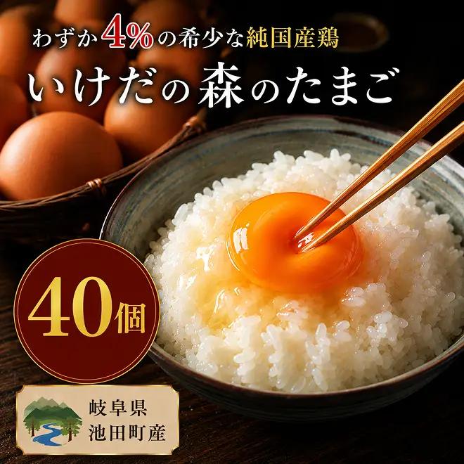 卵 いけだの森たまご 純国産鶏 岐阜県産 卵【40個】