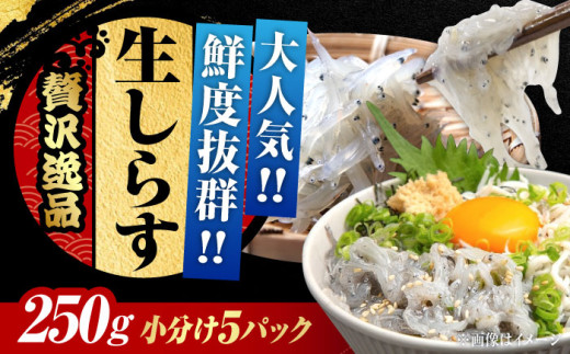 しらす 冷凍  生しらす 50gX5個 冷凍 しらす シラス 干し 釜揚げ 小分け 魚介類 鮮魚 ギフト 料理 シラス丼 しらす丼 海鮮丼 生 生産地 おつまみ ご飯のお供 グルメ やみつき 旬 国産 広島県産 リピート ギフト プレゼント 贈答 人気 高品質 好評 保存方法 江田島市/三島水産株式会社 [XCN002]