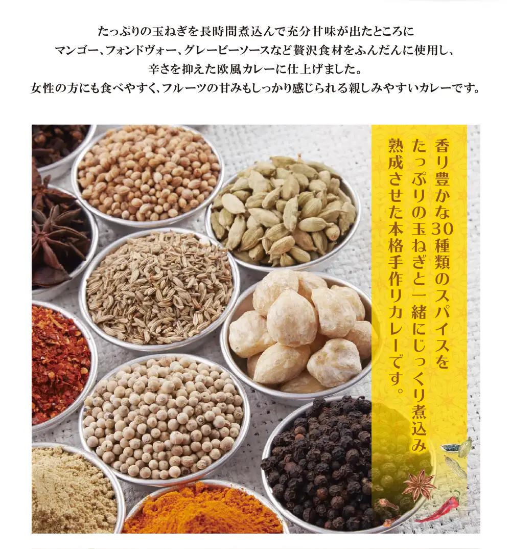 Z27-05 みろくのカレー20食（中辛） カレー