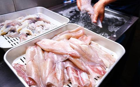 【水産事業者支援】【海鮮の匠　魚政】BBQに最適！　白イカ（ケンサキイカ）　調理済み　正味1K入り（4～8匹）　※小分け真空包装 水産事業者支援　UO01058