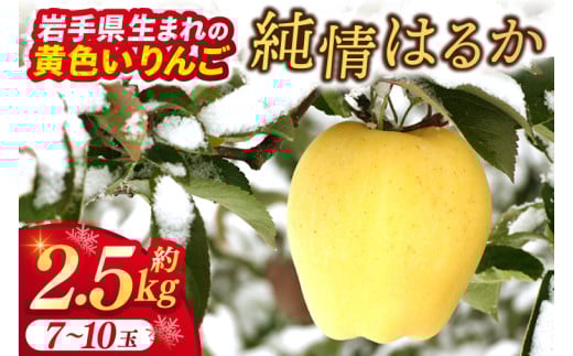 りんご はるか 「純情はるか」約2.5kg 糖度14度以上【先行予約 12月発送予定】数量限定 岩手県産 りんご リンゴ 林檎 はるか フルーツ くだもの 果物 訳あり 自家用 家庭用 【冬恋研究会】 (AI014)