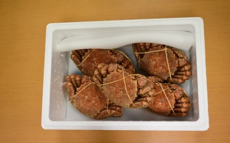 【先行受付開始！】漁協の浜ゆで毛がに 中サイズ５尾セット※日付指定対応不可※[02-628]