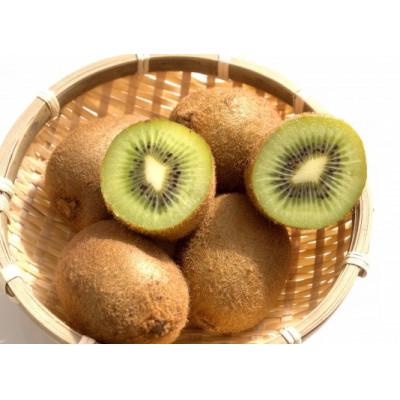 ふるさと納税 和歌山市 【2026年2月より順次発送】森本農園のキウイフルーツ　2kg |  | 01