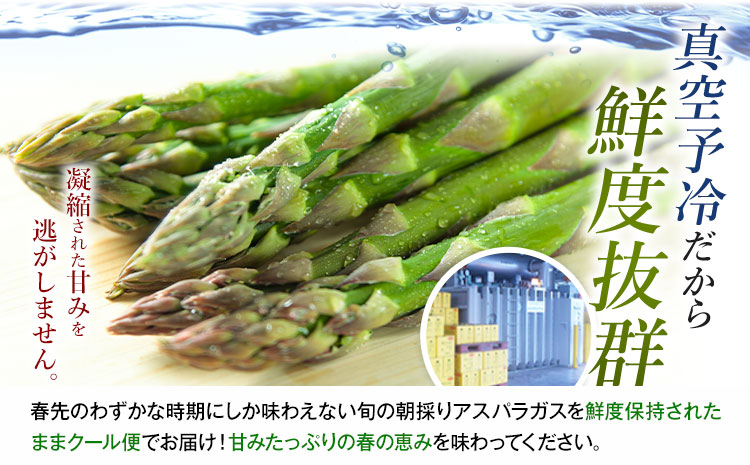 【先行予約】朝採りアスパラガス Mサイズ(1.2kg) 《2025年5月中旬-6月下旬頃出荷予定》北海道 名寄市 送料無料 朝採り 新鮮 アスパラ---nayoro_loc_9_1.2kg---