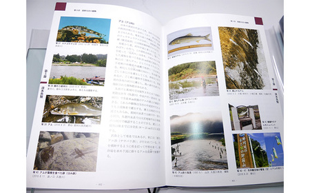 常陸大宮市史 別編2 自然 1冊 地形 地質 気象 【歴史】【ho1318】