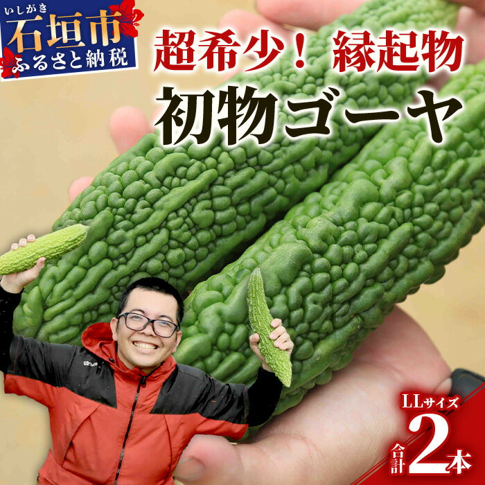 【ふるさと納税】【予約受付】「最優秀賞」受賞の農家！希少品！贈答用「初物ゴーヤ」《2026年1月上旬～2026年2月中旬頃まで順次発送》｜ 沖縄県石垣市 沖縄 石垣 石垣島 希少 贈答 初物 ゴーヤ 離島のいいもの 沖縄いいもの石垣島 OI-1