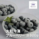 【ふるさと納税】大粒 冷凍 ブルーベリー 合計 800g ( 400g パック 2個) 門前おくでら ブルーベリー園 国産 岩手県 遠野市 果実 フルーツ 果物 くだもの 健康 美容 目 抗酸化作用 アントシアニン ポリフェノール 老化防止 ビタミン ミネラル 食物繊維 腸内環境 視力 送料無料