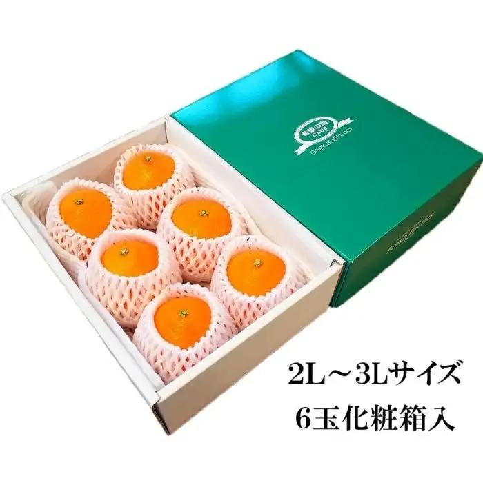【せとか】【2027年3月上旬頃から順次発送】＜特選品大玉＞ 約1.5kg (6玉) 愛媛県松山市 【FT0301】