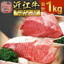 【ふるさと納税】近江牛 サーロイン ブロック ＆ ヒレ ブロック 各500g　合計1kg　牛肉 和牛 黒毛和牛 国産　AI36