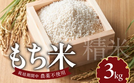もち米3kg N0182-YA198
