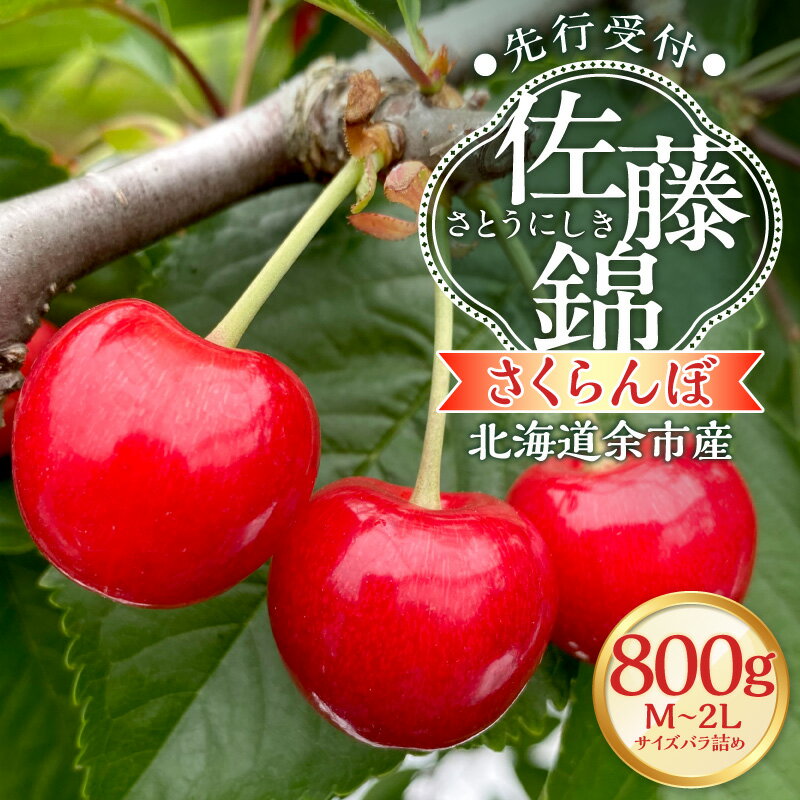 【ふるさと納税】【2026年産 先行予約】＜北海道余市産＞さくらんぼ「佐藤錦」（M～2Lサイズバラ詰め）400g × 2パック 800g フルーツ 果物 果実 余市産 タルト ジャム デザート サクランボ sakurannbo 朝採れ 贈答用 手土産 アグリ 送料無料 余市町