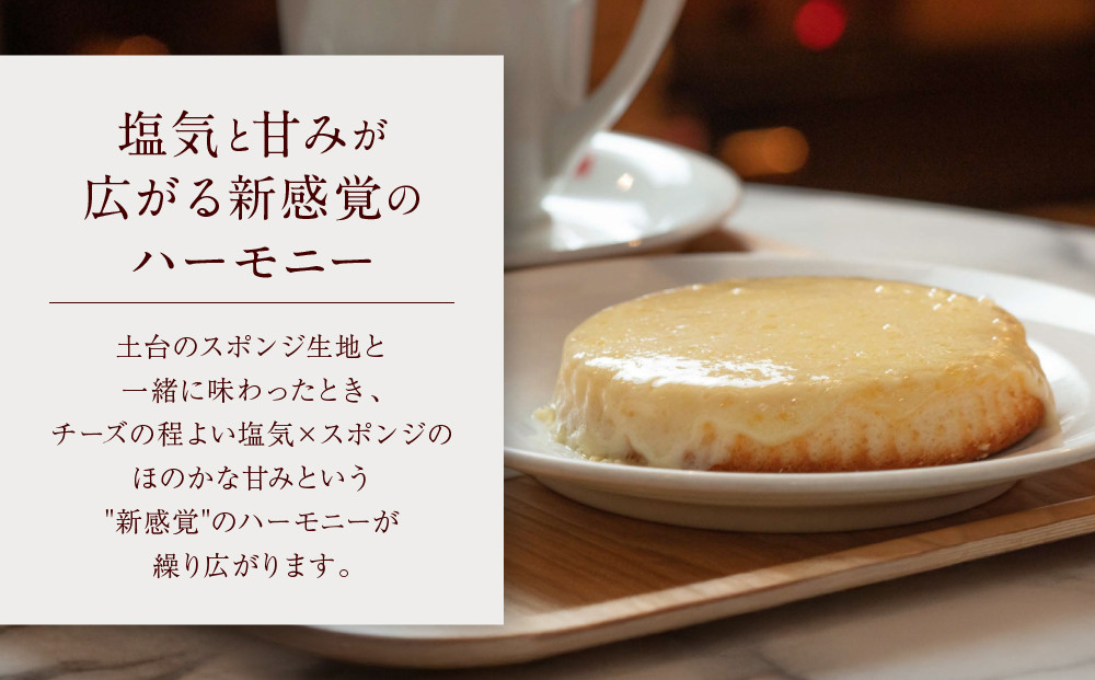 【観音屋】デンマークチーズケーキ　8個入り