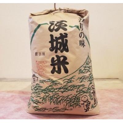 ふるさと納税 石岡市 【令和7年産】獅子米 あきたこまち　玄米30kg