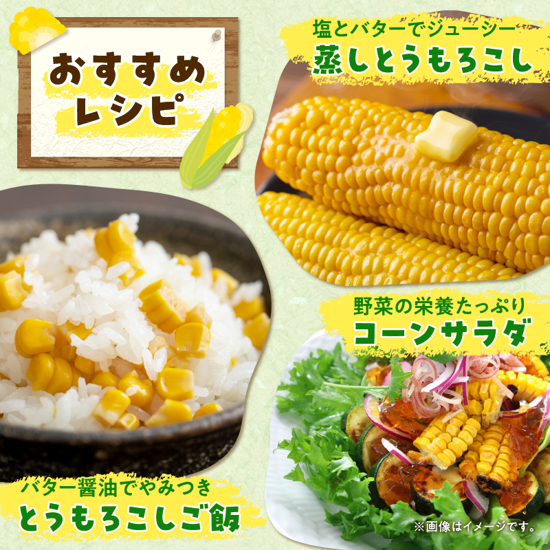 【令和7年産先行受付】生でも美味しい！ とうもろこし 「 サニーショコラ 」 10本（Lサイズ）【配送不可地域：沖縄・離島】