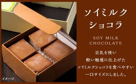 チーズテリーヌ ＆ ソイミルクショコラ 計16個セット 5種類 食べ比べ 1個約40g 西京仕立味噌 八女抹茶 黒ゴマ 黒糖きなこ チョコレート 焼菓子 焼き菓子