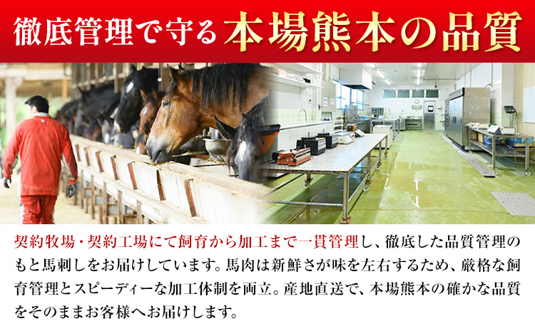 熊本 馬刺し 馬肉ユッケ 約500g ユッケたれ付き 合同会社トライウィン《90日以内に出荷予定(土日祝除く)》熊本県 菊池市 馬刺 刺身 馬肉 ユッケ たれ付き 小分け 個包装 冷凍 送料無料---