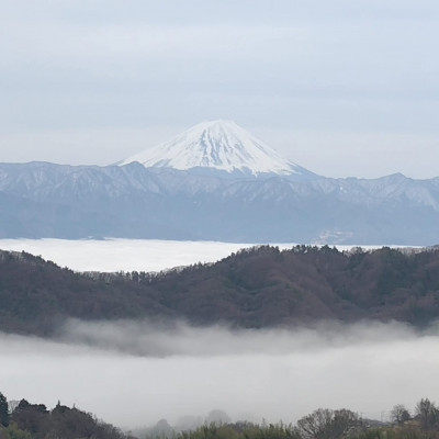 【2026年先行受付】2026年10月中旬発送「牧丘天空の丘ヌーベルローズ」 約1kg(2～3房)【配送不可地域：離島・沖縄県】