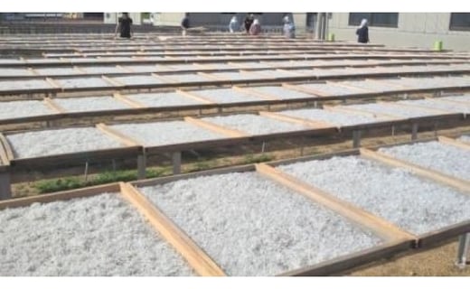 淡路島産 無添加特上品「天日干しちりめん1kg」化粧箱入り